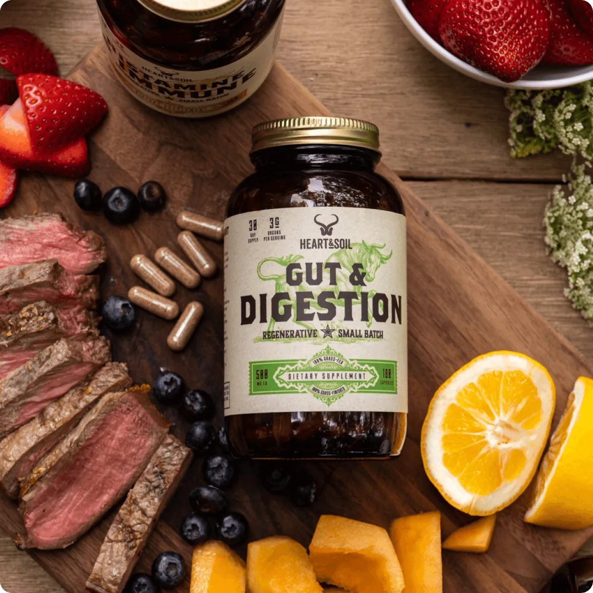 Gut & Digestion