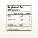 Mood, Memory & Brain