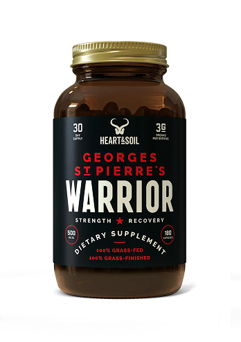 WARRIOR